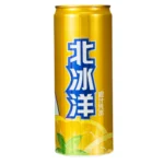 ARCTIC OCEAN FIZZY DRINK ORANGE FLAVOUR 330ml 北冰洋 橙汁汽水